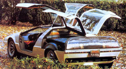 Porsche_Tapiro_Rear.jpg