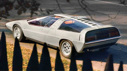 tapiro-rear-34.jpg
