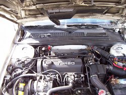 2.5 T2.jpg